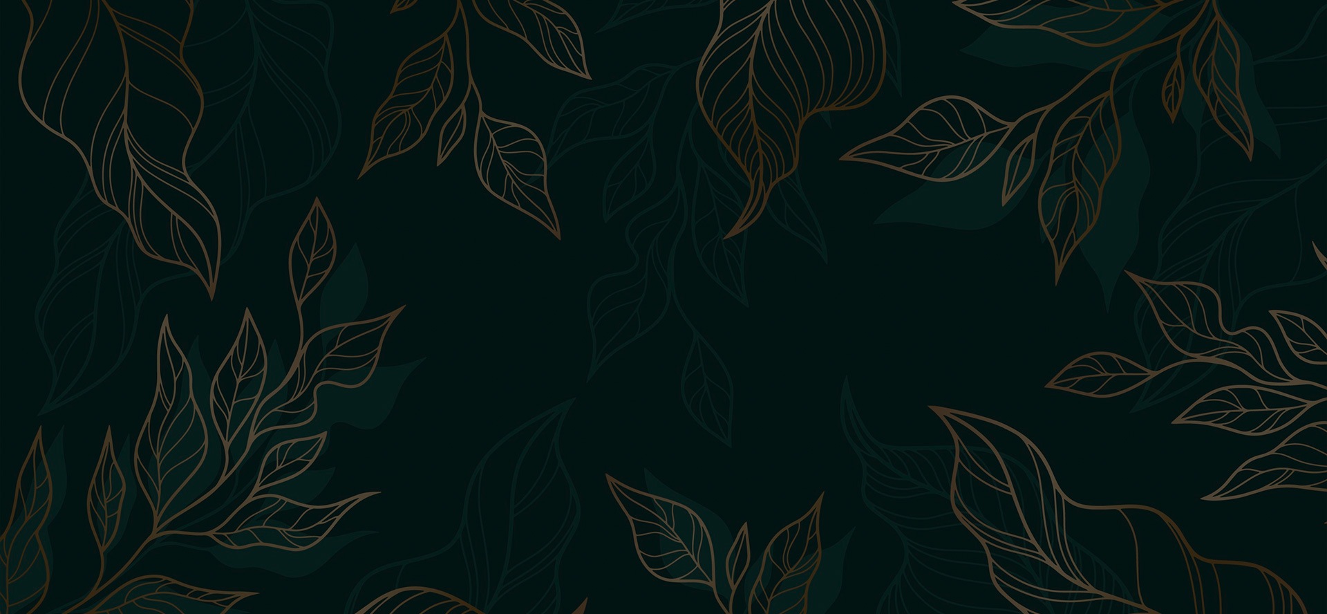 Image Slider